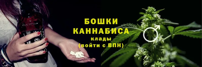 Каннабис White Widow  Лесной 